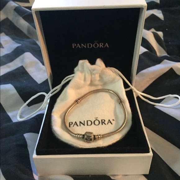 Pandora Charm Bracelet - Picture 1 of 1